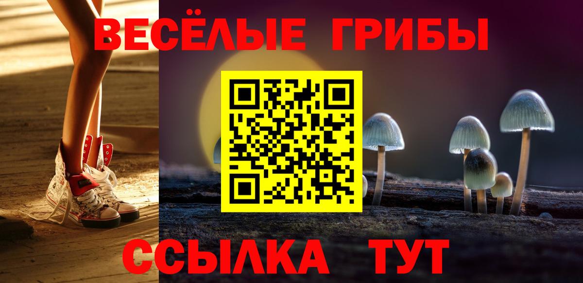 Галлюциногенные грибы Psilocybe  Вход с VPN  Россия 