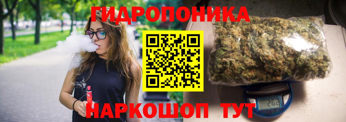 Россия  Канабис ГИДРОПОН  Вход с VPN  Шишки марихуана VHQ  Марихуана сатива  Каннабис семена 